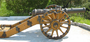 Cannon