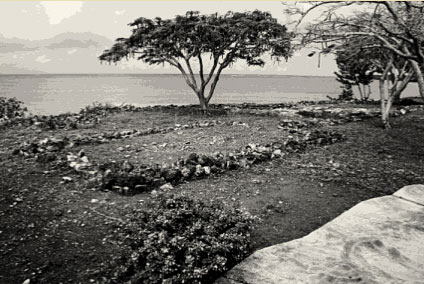 Outlines of now-vanished buildings at La Isabela