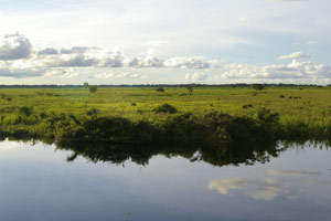 The plains of Beni