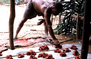 Man laying out meat to share with other members of the tribe