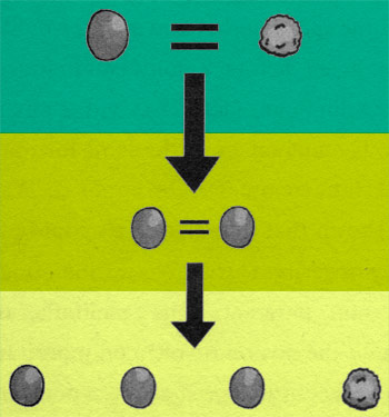 Diagram showing hybridization of plants