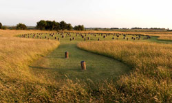 Grassy area with tubular objects poking out of the ground