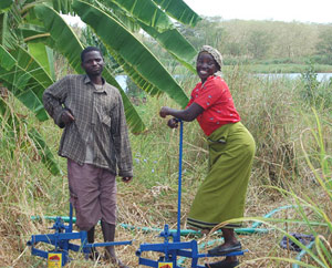 2 people using treadle pumps